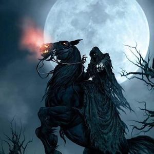 Meet your Posher, Jesse